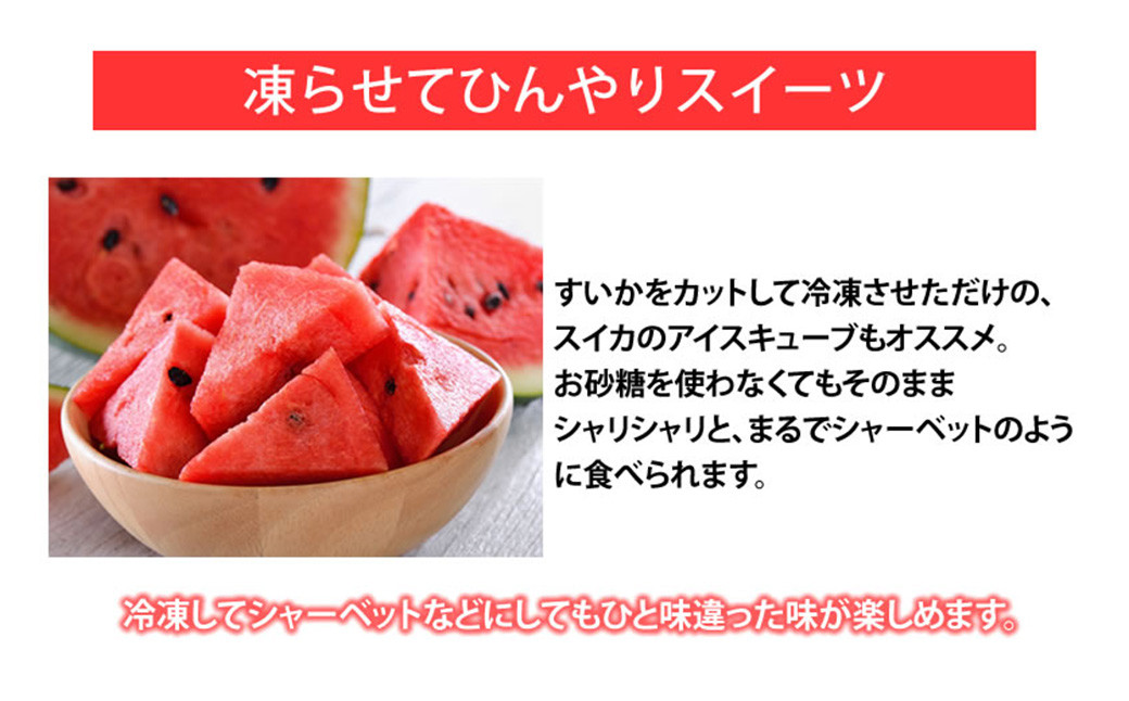 訳あり 大玉すいか 1玉 約6kg〜9kg 