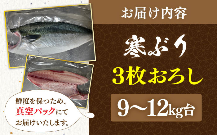 寒ブリ 寒ぶり 海鮮 魚介 海鮮丼 鰤 真空パック 煮つけ 照り焼き 下処理済み