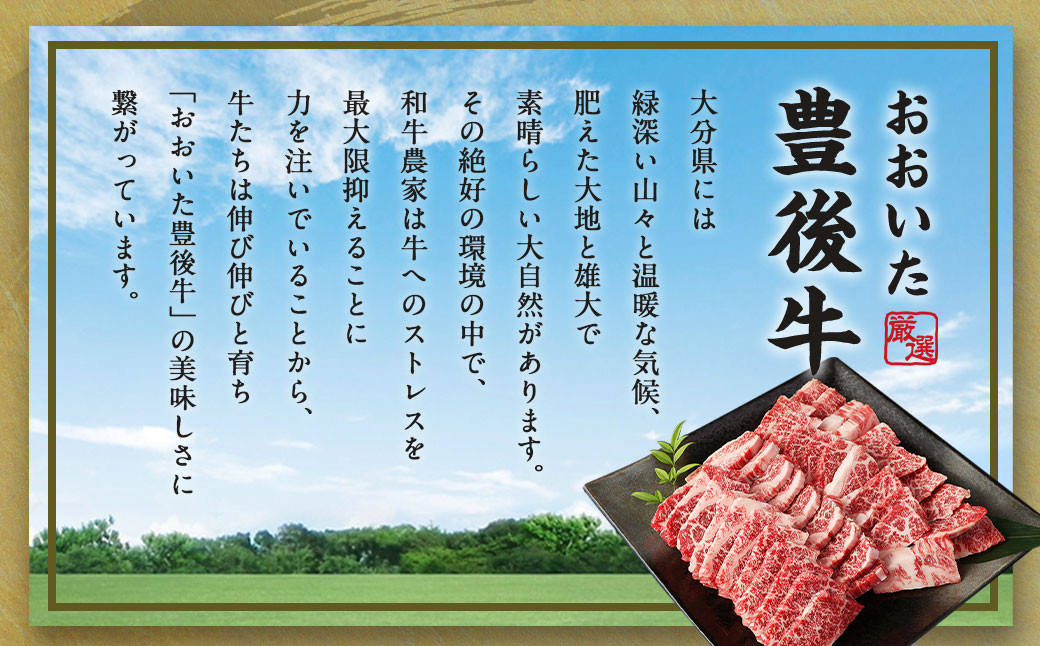 【大分県産】 豊後牛 焼肉用 カルビ 切り落とし 約3.3kg （約330g×10パック）