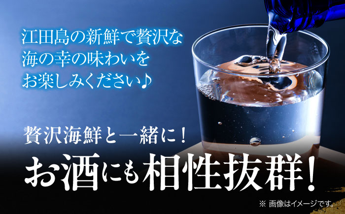 海鮮 魚介類 冷凍 水産加工品 海藻 鮮魚 さかな 刺身 詰め合わせ セット 小分け 海鮮丼 加工品 惣菜 刺身 真空パック