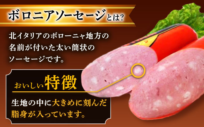 【宮地ハムのロングセラー】ボロニアソーセージ 100g×7本 /宮地ハム [UBM010] 豚肉 豚 肉 ソーセージ