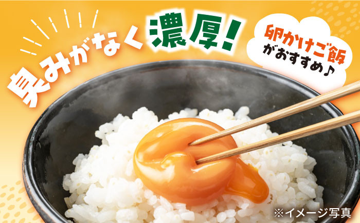 卵 赤玉 Lサイズ たまご