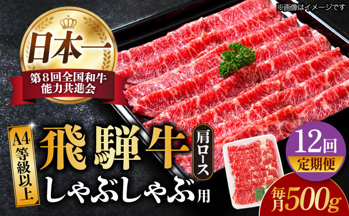 12回 定期便 飛騨牛 しゃぶしゃぶ用 ロース / 肩ロース 500g