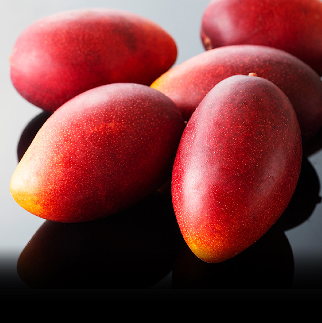 1玉重量350g~400gの完熟マンゴー「太陽の子」を8玉(2.8kg以上)をお届けします!