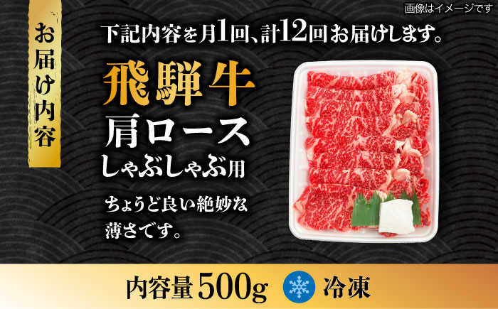 12回 定期便 飛騨牛 しゃぶしゃぶ用 ロース / 肩ロース 500g
