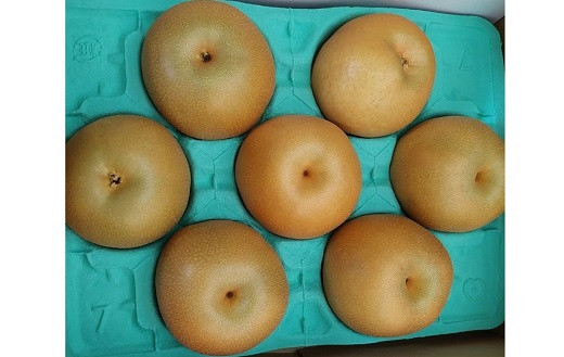 ※画像はイメージです