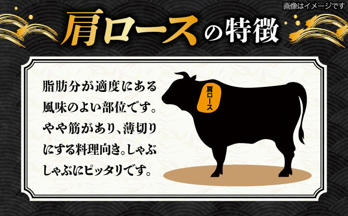 3回 定期便 飛騨牛 しゃぶしゃぶ用 ロース / 肩ロース 1kg