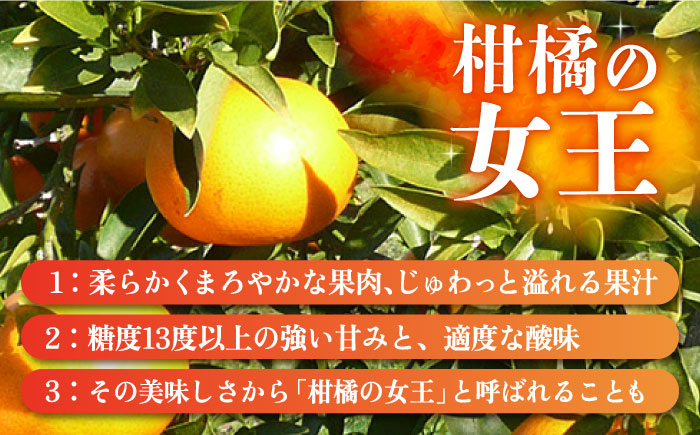 みかん 柑橘 果物 くだもの フルーツ 季節限定 数量限定 温州みかん ミカン 先行予約