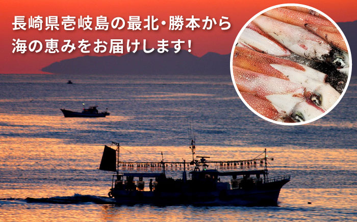 いか イカ 烏賊 スルメイカ ハンバーグ 総菜 おやつ 魚介 海鮮 海の幸 朝食