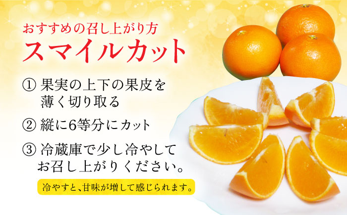 みかん 柑橘 果物 くだもの フルーツ 季節限定 数量限定 温州みかん ミカン 先行予約