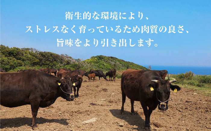 熊本県産 延寿牛 あか牛 モモ ブロック 国産 牛肉 赤身 塊肉 赤牛 褐牛 牛もも 九州 冷凍 ギフト お取り寄せ 送料無料