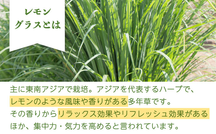 【爽やかなフレグランスウォーター】レモングラス天然蒸留水セット /クロップス武雄レモングラス [UBG003]
