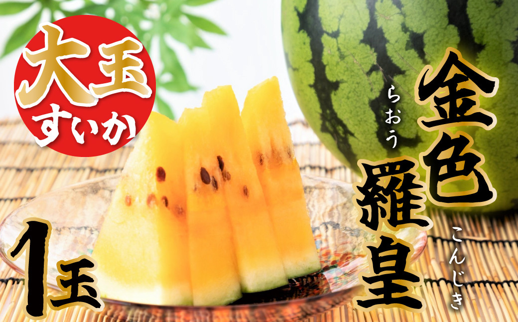 写真はイメージです