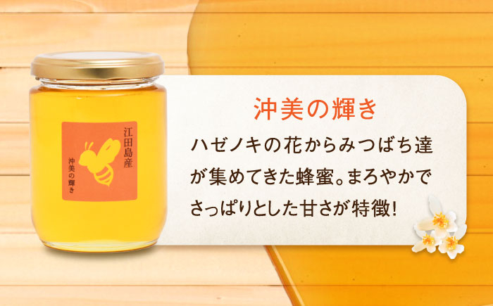 江田島産100％ はちみつ 2種食べ比べセット（300g×2本） ハチミツ 蜂蜜 国産 広島 江田島