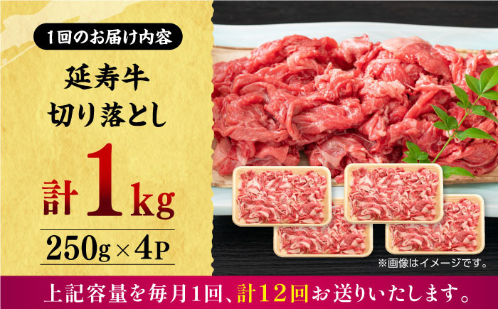 熊本県産 あか牛 和牛 切り落とし 計約1kg 牛肉 切り落とし 国産 和牛 ブランド牛 小分け 冷凍 熊本産 山鹿市 送料無料