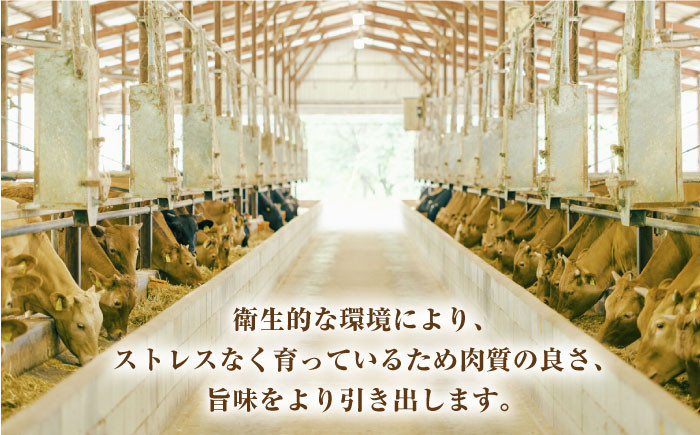 熊本県産 あか牛 和牛 切り落とし 計約1kg 牛肉 切り落とし 国産 和牛 ブランド牛 小分け 冷凍 熊本産 山鹿市 送料無料
