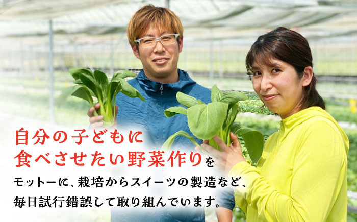 【安納芋を超える甘さ! 】佐賀県武雄市産 さつまいも 紅はるか 冷凍 焼き芋 2kg(2個入×5袋)/おかわりのうえん [UDD