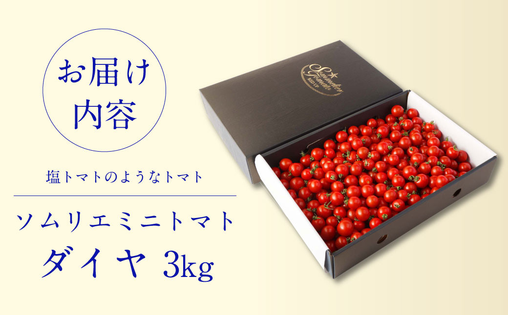 ソムリエミニトマトダイヤ 3kg