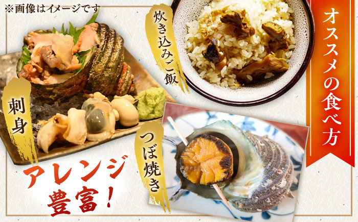 人気 新鮮 海鮮 特産品 贈り物 ギフト 魚介 ごはんの