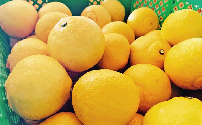 はるか みかん 5kg