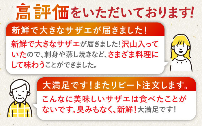 人気 新鮮 海鮮 特産品 贈り物 ギフト 魚介 ごはんの