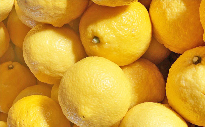 はるか みかん 5kg