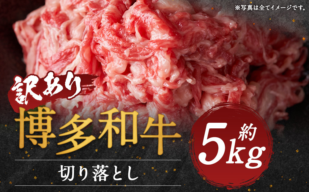 博多和牛切り落とし 約5kg(約500g×10パック)