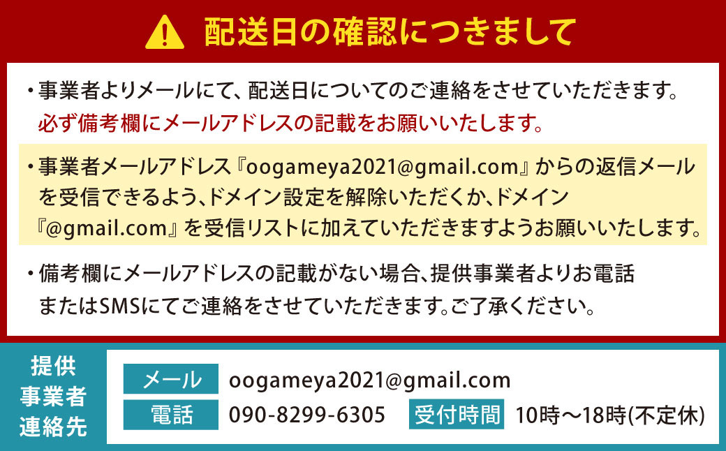 大亀屋のミックスめだかさん 20匹