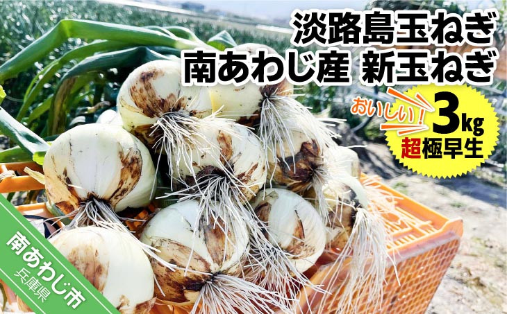 淡路島玉ねぎ　南あわじ産　新玉ねぎ（超極早生）３kg