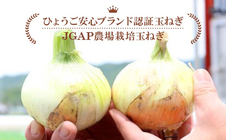 淡路島産玉葱　うずしお追熟甘玉ねぎ10kg