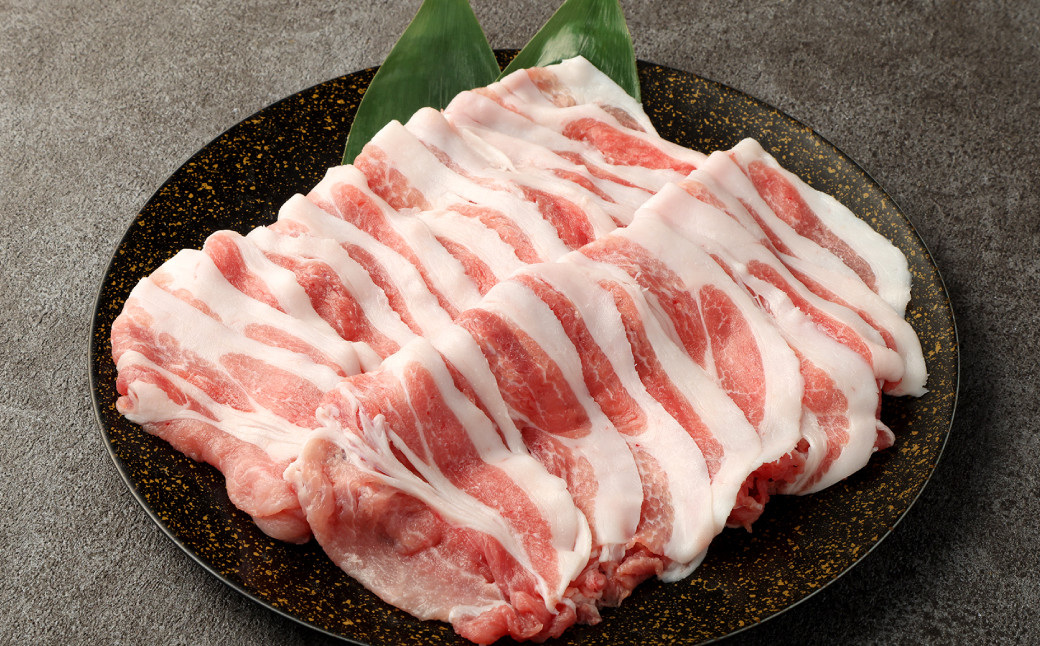 夢ポーク ロース肉 600g おおいた乾しいたけと玉ねぎの無限ソース 1本セット