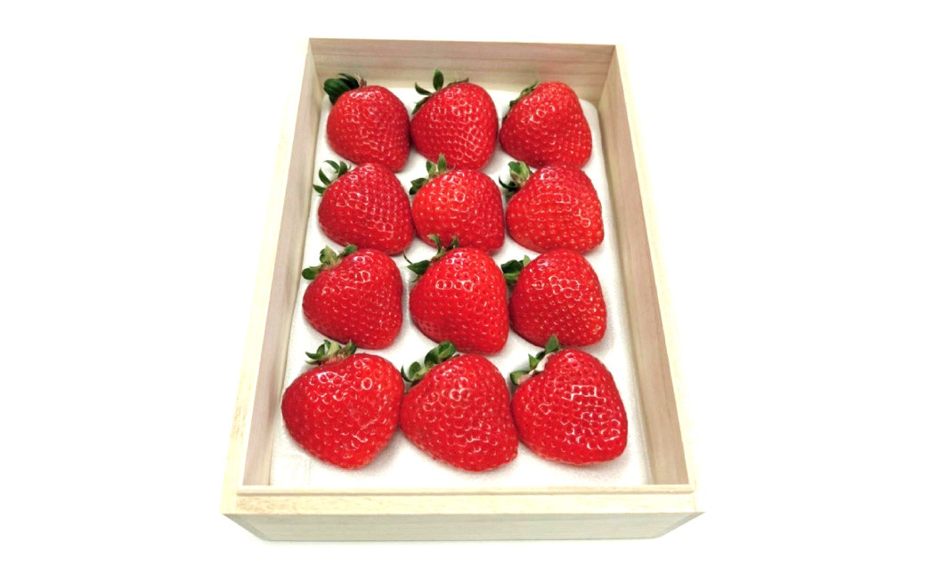 ティッシュボックス用 特別仕様の桐箱入り プレミアムあまおう 約400g×1パック 【ギフト・お祝い・贈答用】