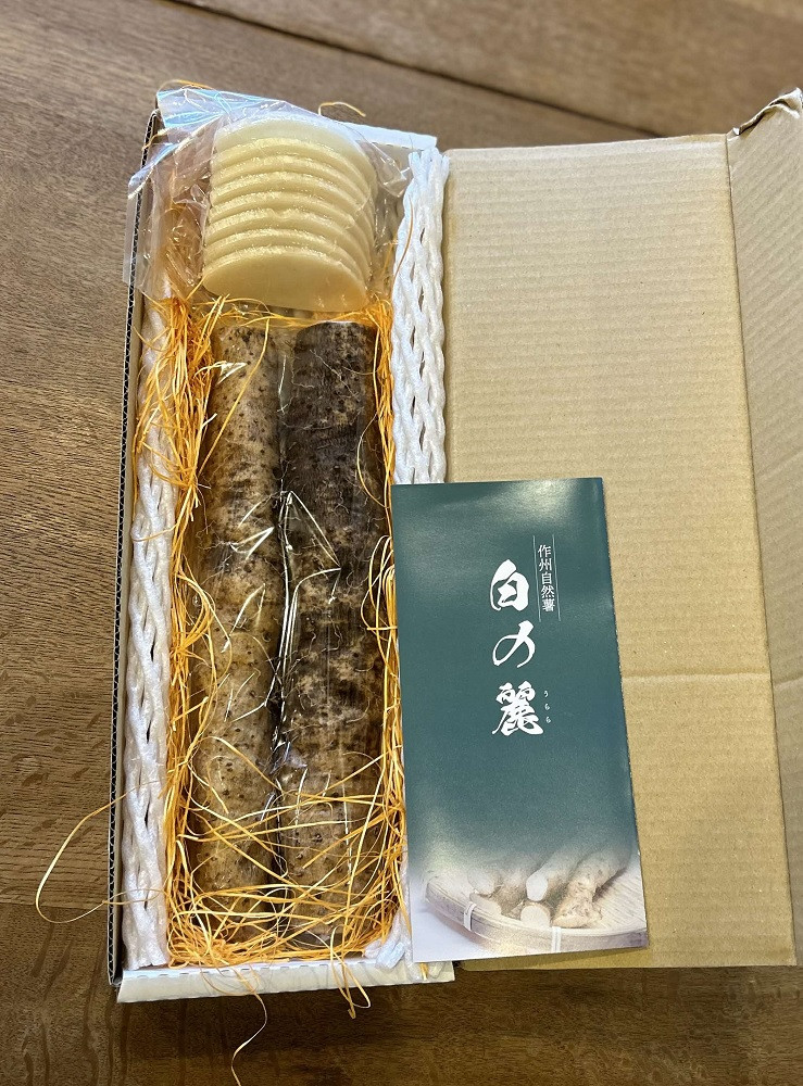 写真はイメージです。