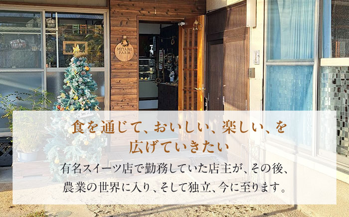 冷凍 ケーキ けーき チョコレート チョコケーキ お菓子 スイーツ デザート