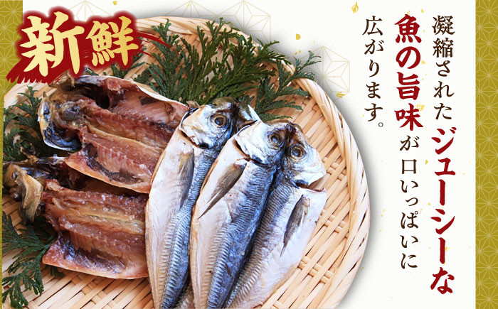 人気 新鮮 海鮮 特産品 贈り物 ギフト   魚介 ごはんのお供 朝食 昼食 夕