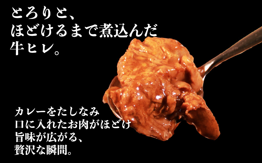 【訳あり】具だくさん やわらか牛ヒレひもカレー 約250g×6パック 計 約1.5kg