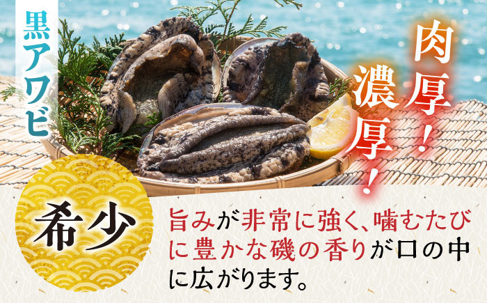人気 うに ウニ 雲丹  新鮮 海鮮 特産品 贈り物 ギフト   魚介 ごはんの