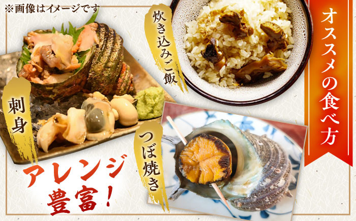 人気 うに ウニ 雲丹  新鮮 海鮮 特産品 贈り物 ギフト   魚介 ごはんの