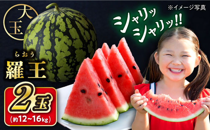 スイカ 羅王 2玉