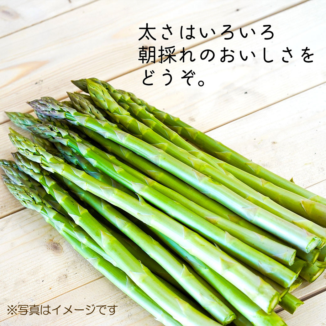 アスパラ 約800g M~2L