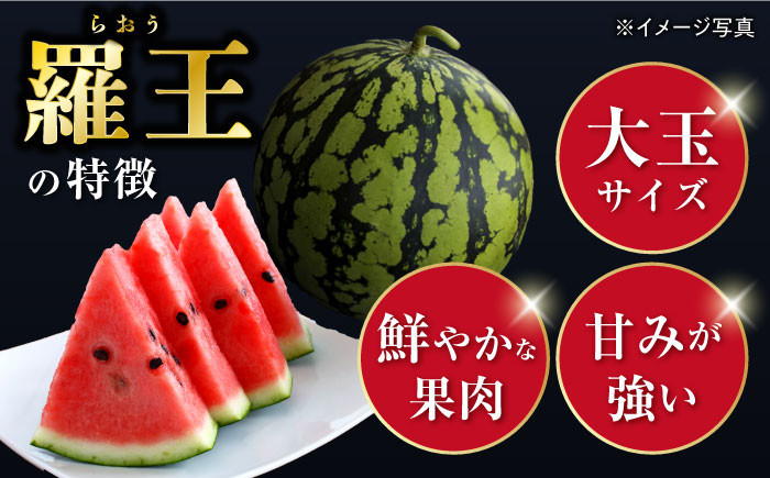 スイカ 羅王 2玉