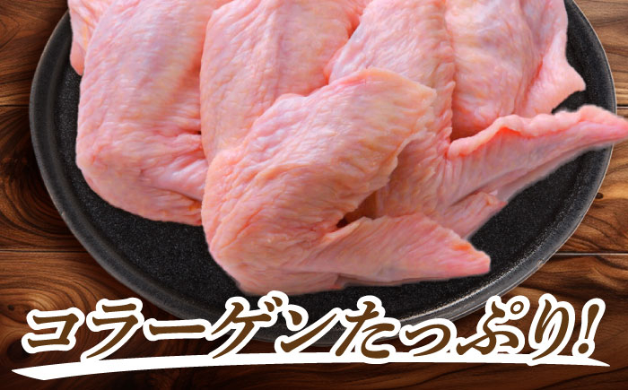 恵那どり 鶏肉 鳥肉 鶏 鳥 鶏 トリ 肉 手羽先 手羽 ブランド鶏 ブランド 銘柄 冷凍 小分け 大容量 岐阜県産 国産