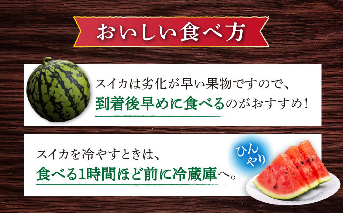 スイカ 羅王 1玉 西瓜