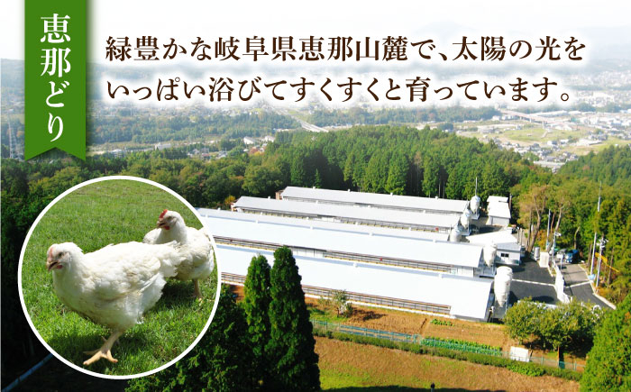 恵那どり 鶏肉 鳥肉 鶏 鳥 鶏 トリ 肉 手羽先 手羽 ブランド鶏 ブランド 銘柄 冷凍 小分け 大容量 岐阜県産 国産