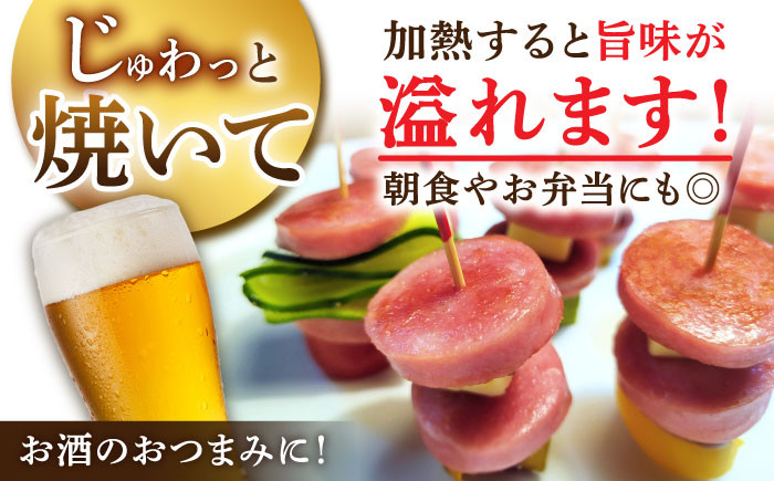 【3回定期便】宮地ハムのロングセラー ボロニアソーセージ 100g×7本 /宮地ハム [UBM011]