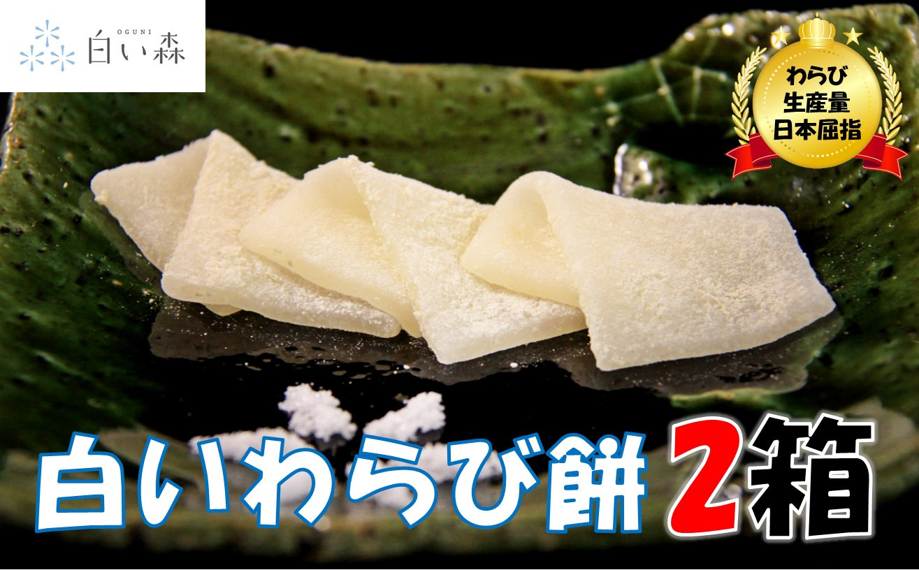 ふんわりもちもち 白い森の白いわらび餅