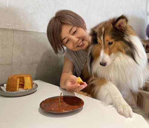 わんこと一緒にシェアして食べれる米粉シフォンケーキ