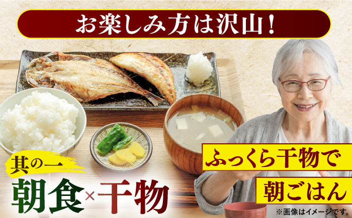 【平戸自慢】豪華干物 6種詰合せ＆天然塩わかめセット 平戸市 / 一山水産 