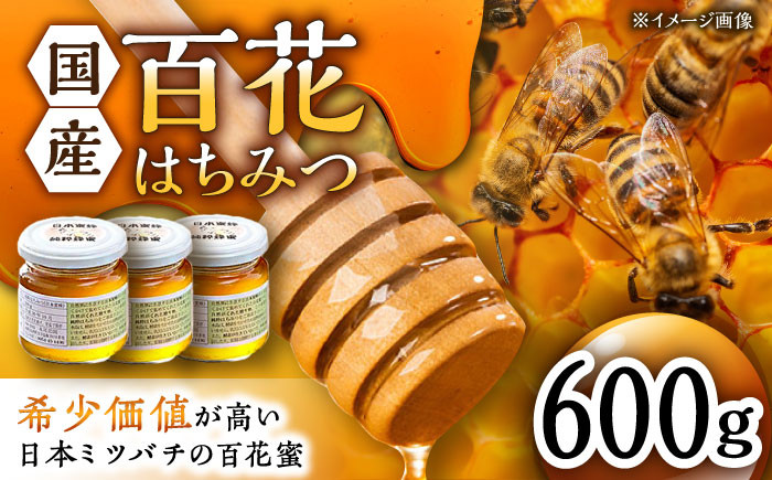 日本蜜蜂 百花 はちみつ 計600g（200g×3）純粋蜂蜜 /永尾 忠則 [UAS005] 蜂蜜 はちみつ ハニー