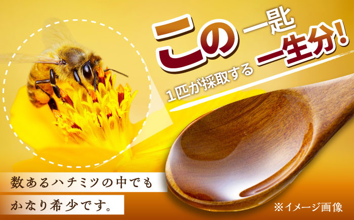 【コクと味わい深い甘み】日本蜜蜂 百花 はちみつ 300g /永尾 忠則 [UAS009] 蜂蜜 ハチミツ 日本ミツバチ